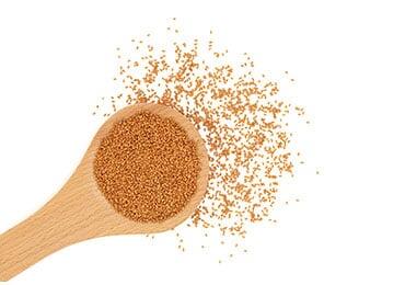 Yield10 Biotech is expanding the production of low-cost PHA bioplastics from camelina seeds